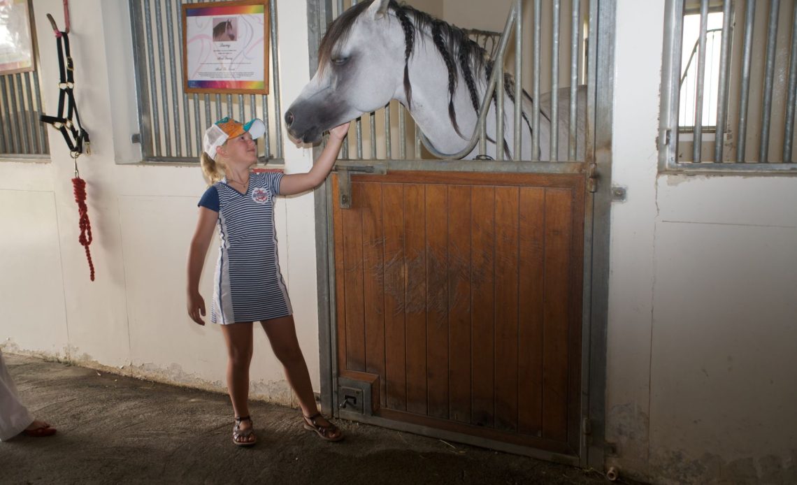 horse stables in dubai